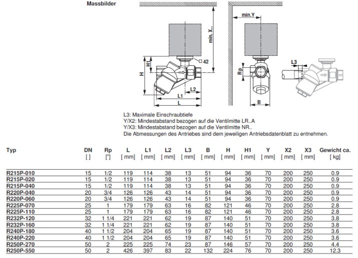 Габаритные размеры R215P-010 